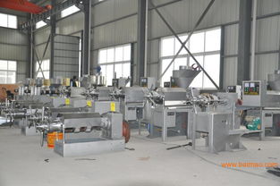 如何選擇優(yōu)質(zhì)榨油機(jī)？重慶市場(chǎng)、知名品牌及上海二龍?jiān)O(shè)備全解析